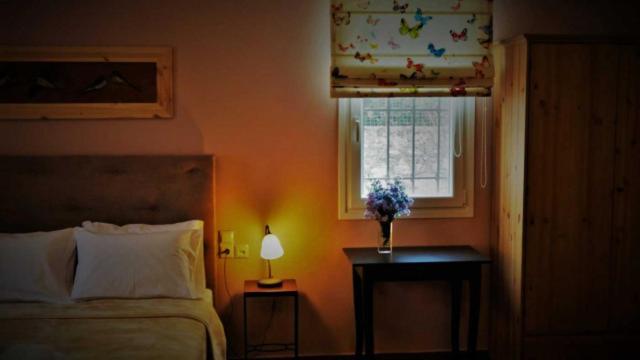 Αραϊδου΄-Araidoy Aparthotel Ioannina Ngoại thất bức ảnh